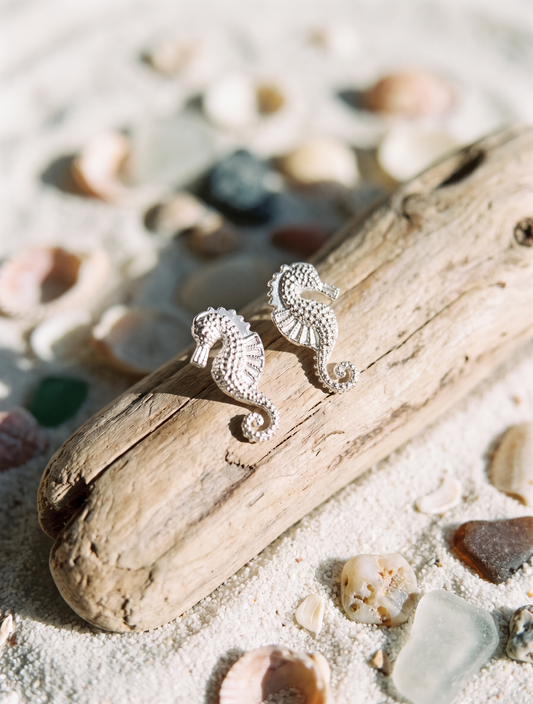 Aretes caballito de mar