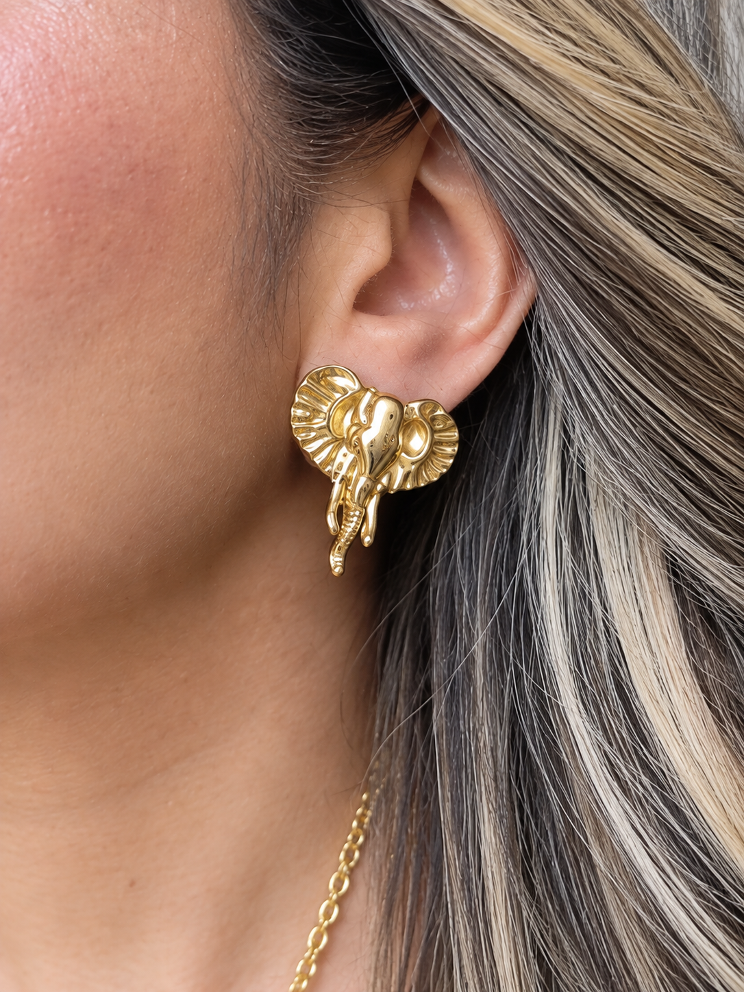 Arete elefante