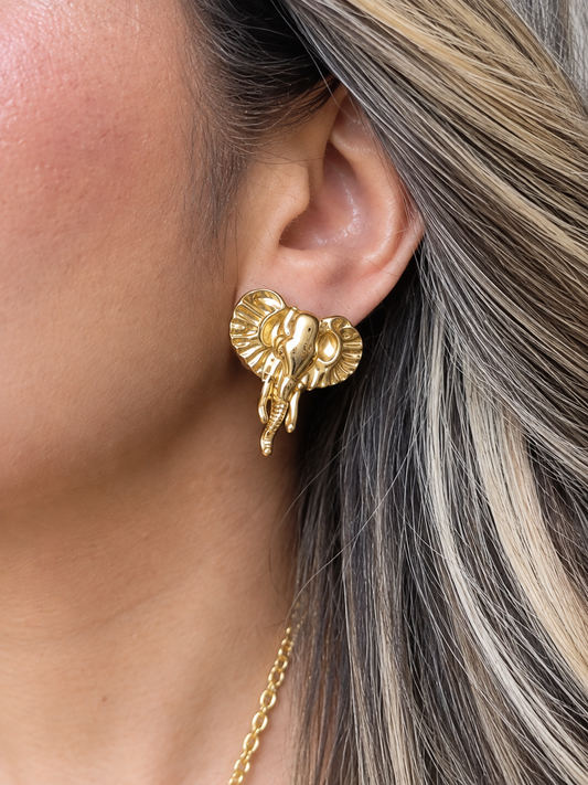 Arete elefante